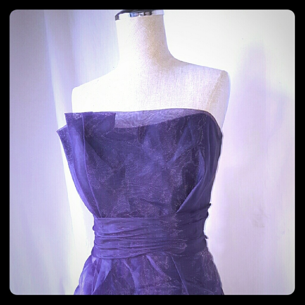 Davids Bridal Purple Dress