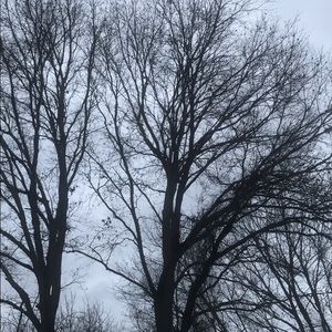 Meet your Posher, Christy