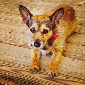 Meet your Posher, Keely