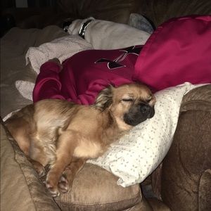 Meet your Posher, Lorinda