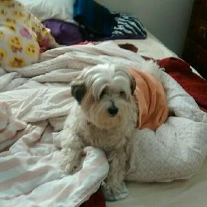 Meet your Posher, Bre