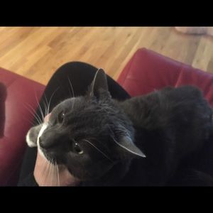 Meet your Posher, Sara