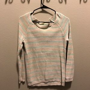 Pink Rose Turquoise and cream sweater