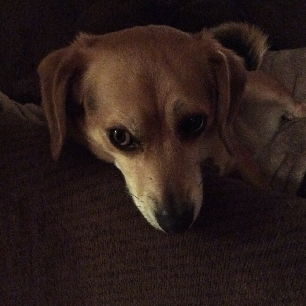 Meet your Posher, Elena