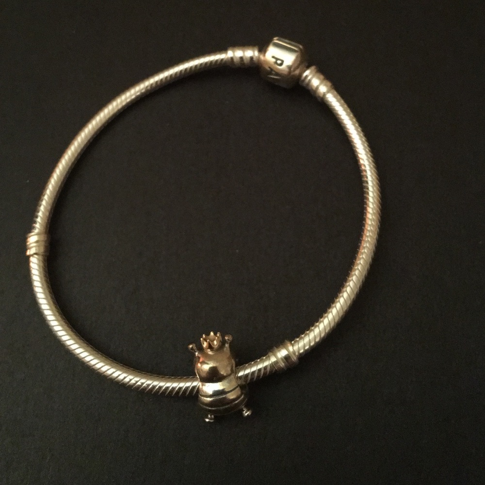 Pandora "princess" charm bracelet