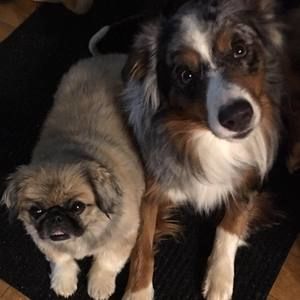 Meet your Posher, Robin