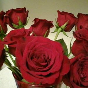 Meet your Posher, Laquetta