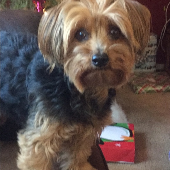 Meet your Posher, Karissa - Picture 4 of 8