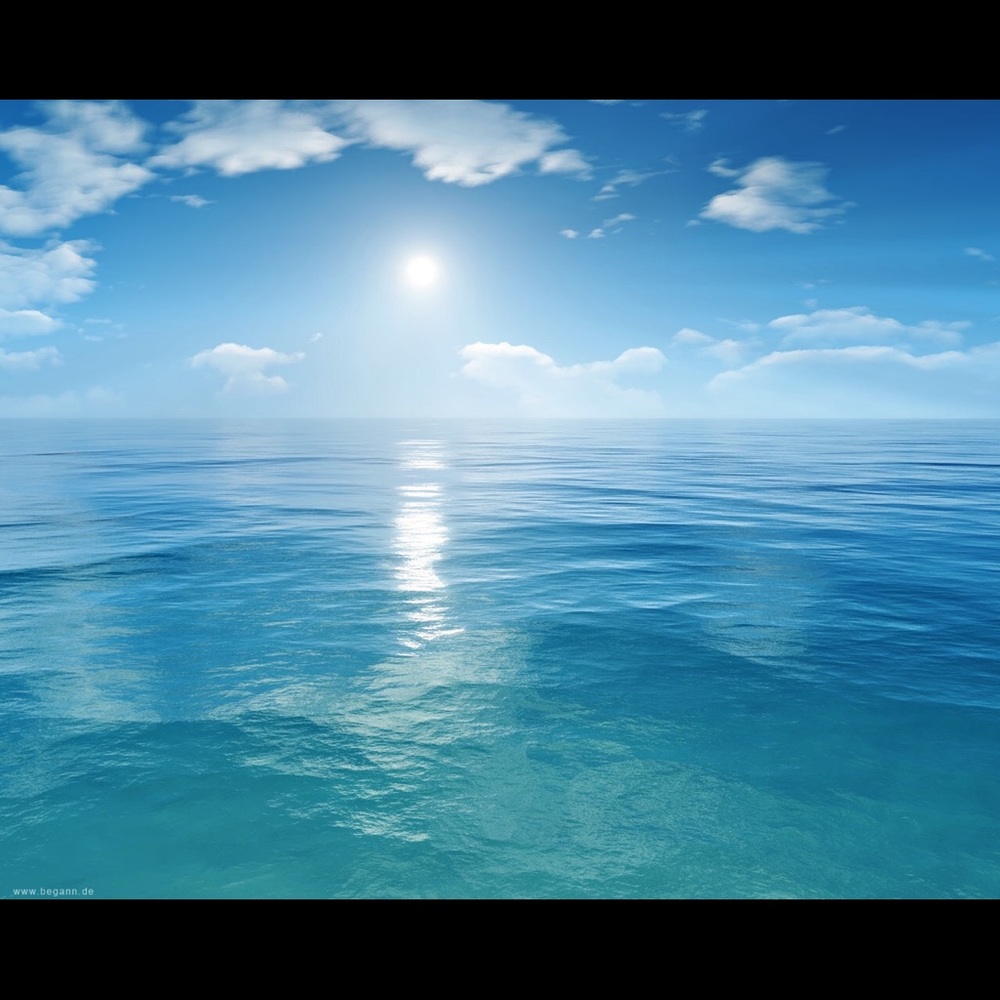 Meet your Posher, Sherri