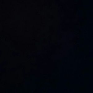 Meet your Posher, Whitney