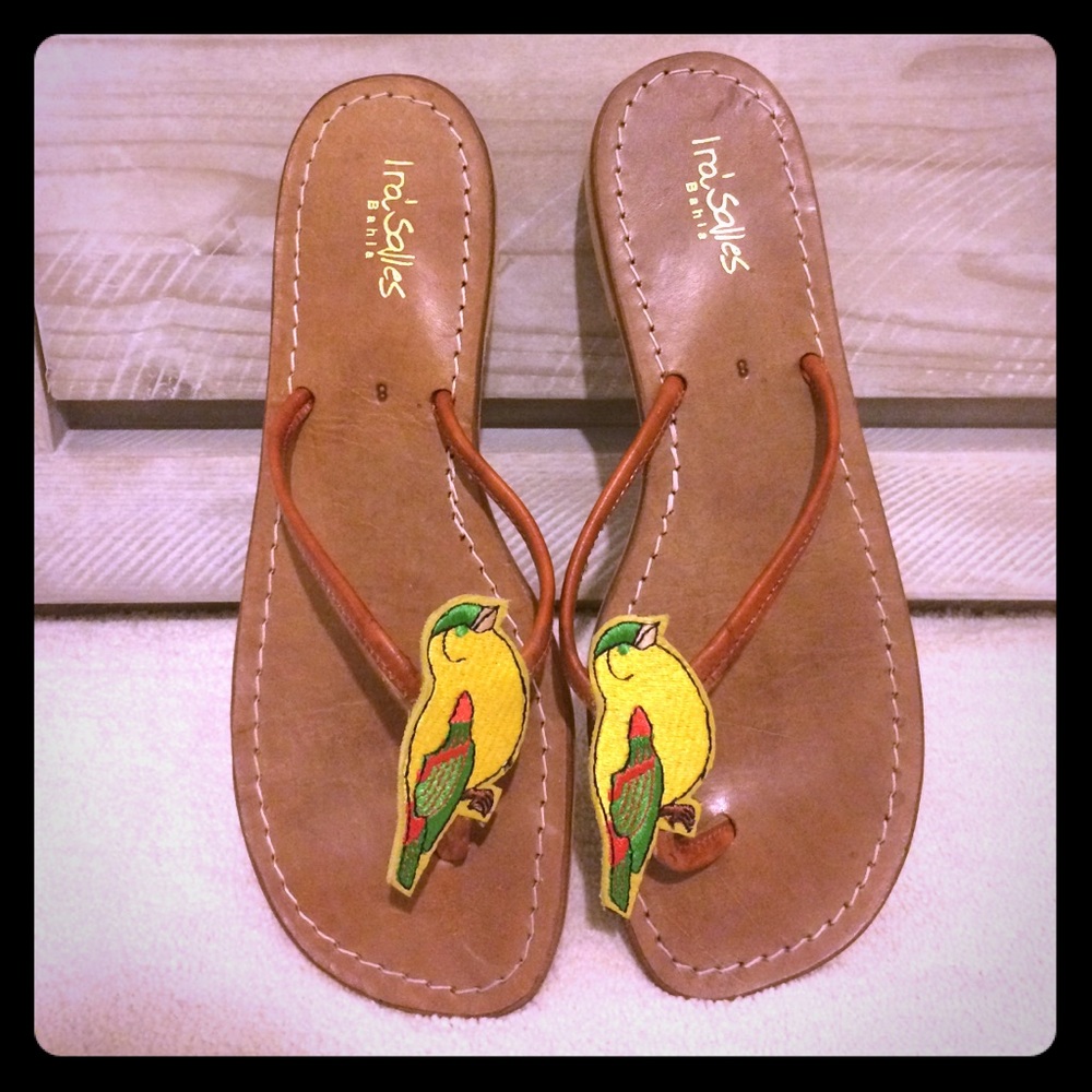 🌟Ira Salles Parakeet Slides