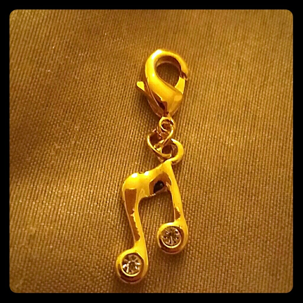 CC Gold plated inquiry Charm