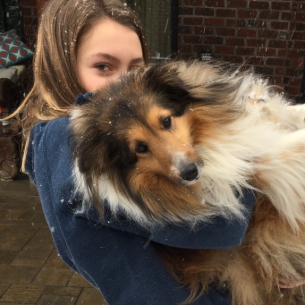 Meet your Posher, Sydney