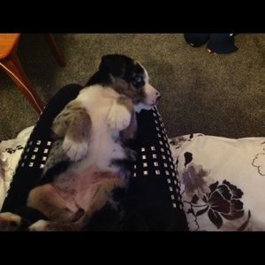 Meet your Posher, Kaila