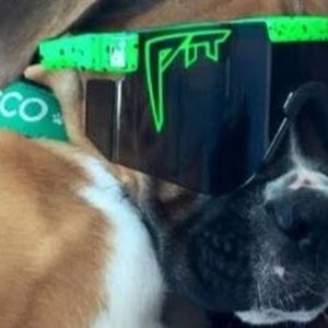 Meet your Posher, Gnarls