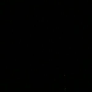 Meet your Posher, Kitty