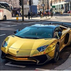 Meet your Posher, Max