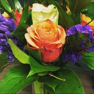 Meet your Posher, Nikki