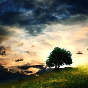 Meet your Posher, Amberlee