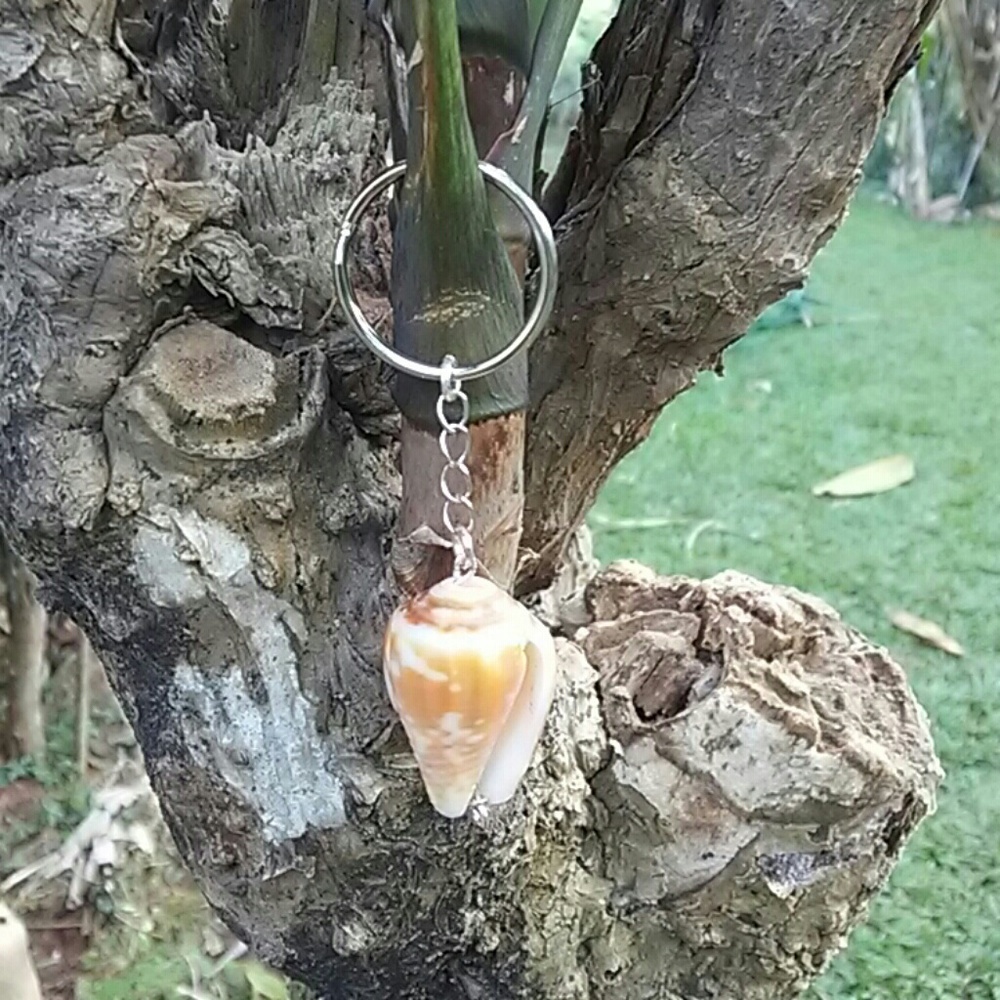 Natural cone shell key chain