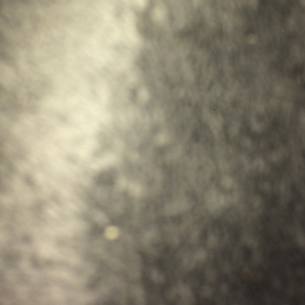 Make any offer on anything!!