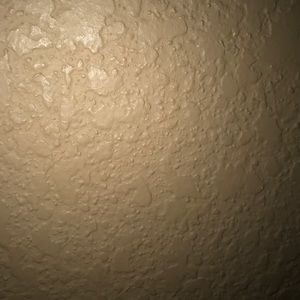 Meet your Posher, Elsa