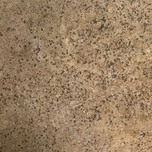 Meet your Posher, Katlyn