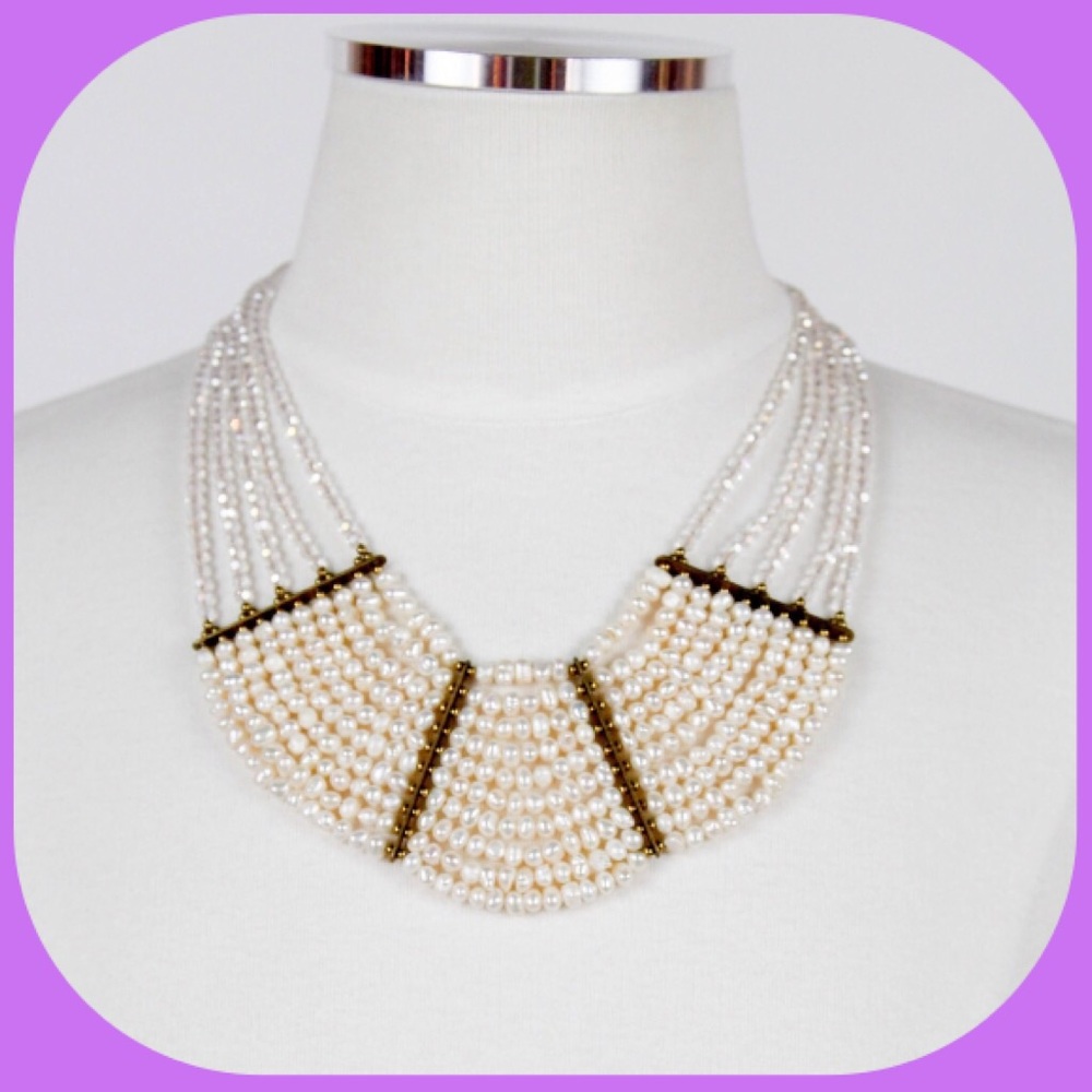 NWT Layers of Pearl & Crystal Bib Necklace