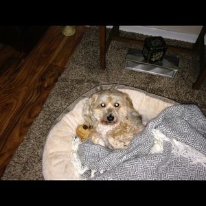 Meet your Posher, Zella