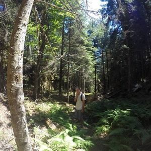 Meet your Posher, Griffin