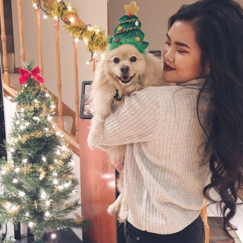 Meet your Posher, Diana