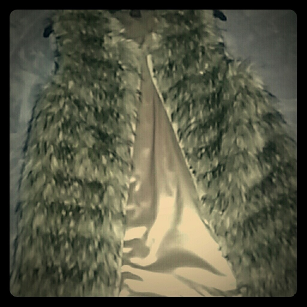 Fuzzy vest