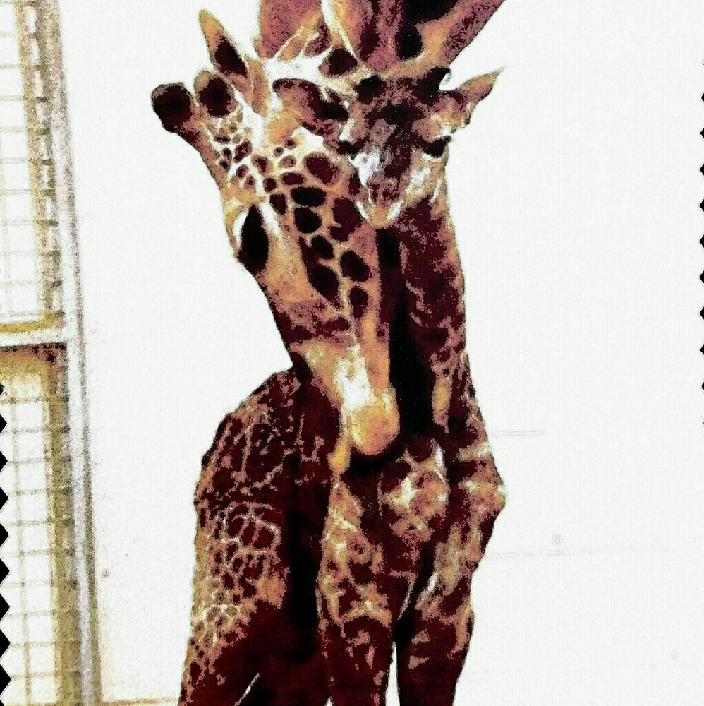 Meet your Posher, Jayna