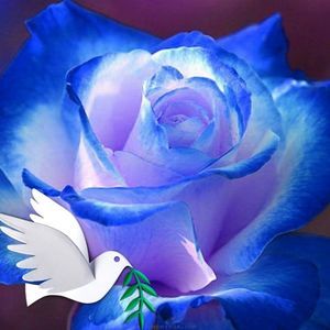 Meet your Posher, Eva