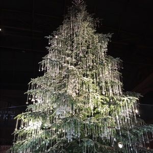 Meet your Posher, Ecenaz