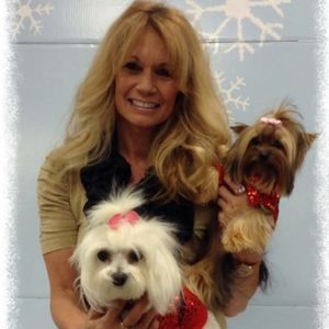 Meet your Posher, Donna