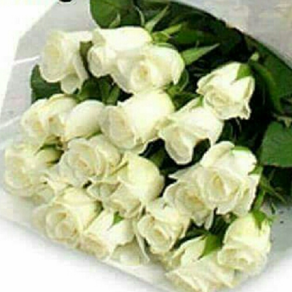 Meet your Posher, Karla