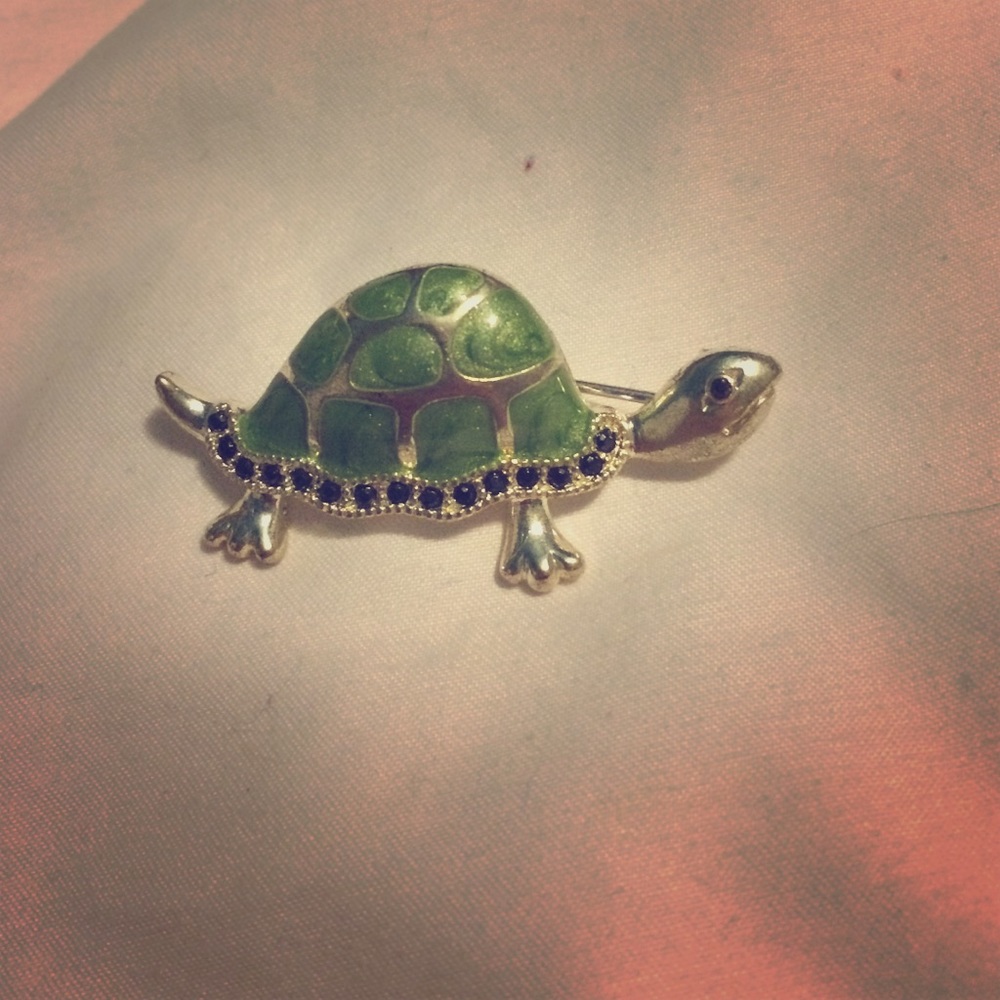 Small stainless steel turtle pin