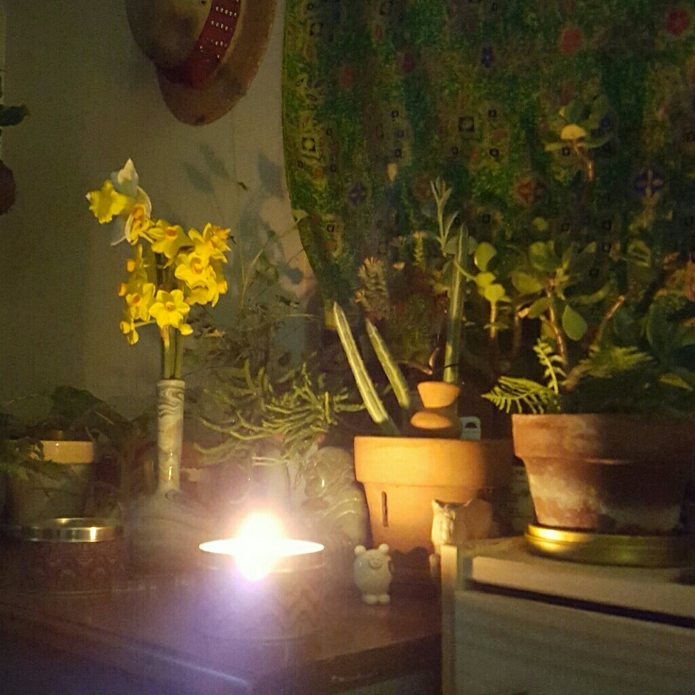 Meet your Posher, Hayley