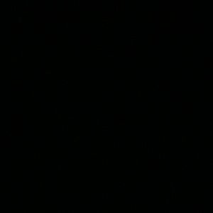 Meet your Posher, Irais