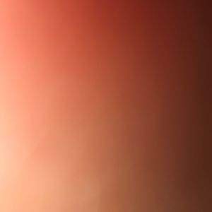 Meet your Posher, Callie