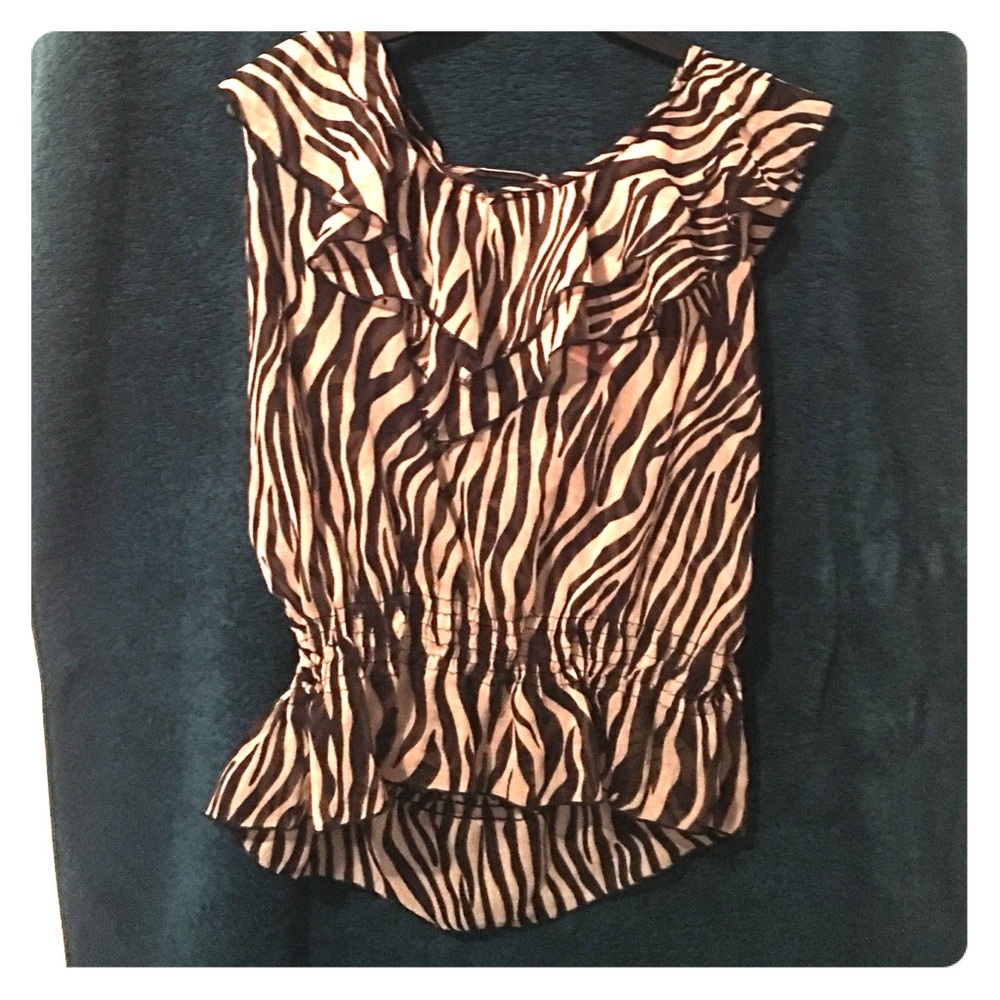 Brown Zebra Print Crop Top