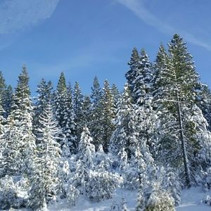 Meet your Posher, Ana