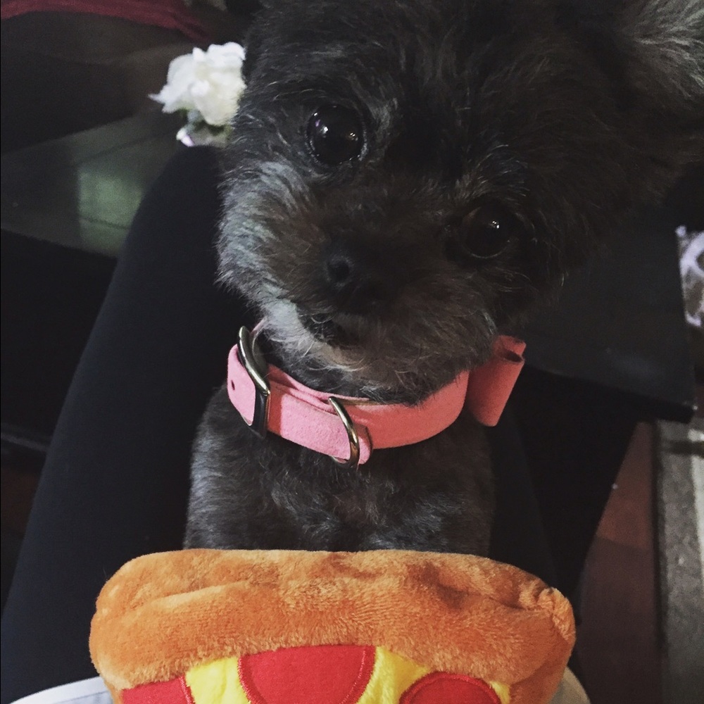 Meet your Posher, Krys