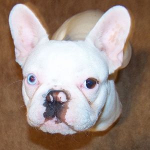 Meet your Posher, Lorna