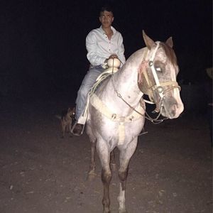 Meet your Posher, Benjamin