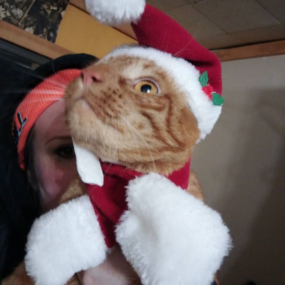 Meet your Posher, Grace