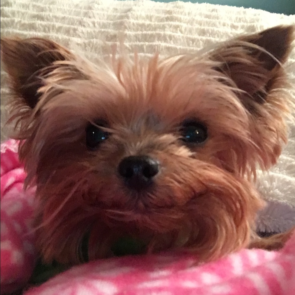 Meet your Posher, Sally