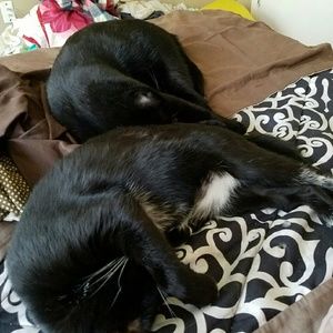 Meet your Posher, Lynn