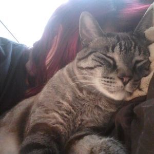 Meet your Posher, Katrina